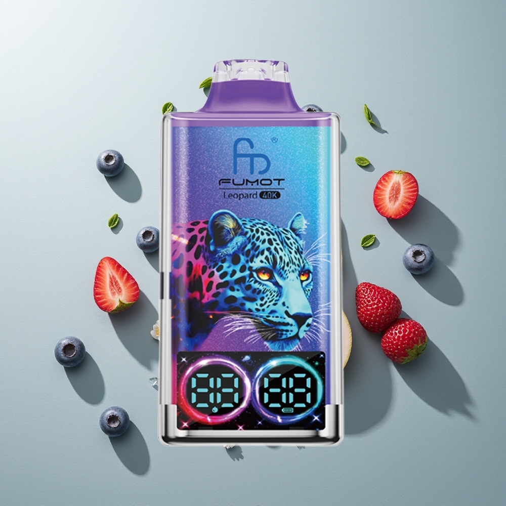 Fumot Leopard 40K التوت الأزرق على الثلج بنسبة 5% وشاحن من النوع C