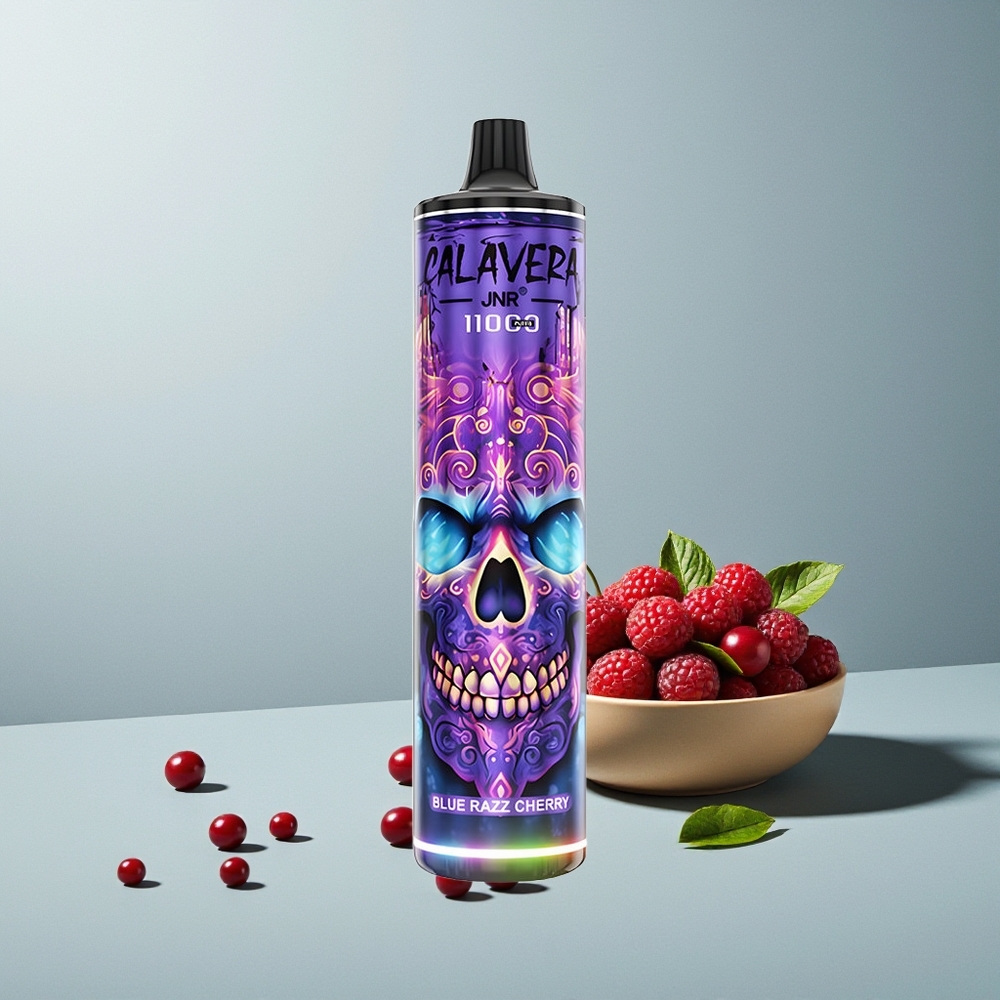 JNR Calavera 11000 التوت الأزرق الكرز مع شاحن Type-C وملف شبكي 1.0 أوم
