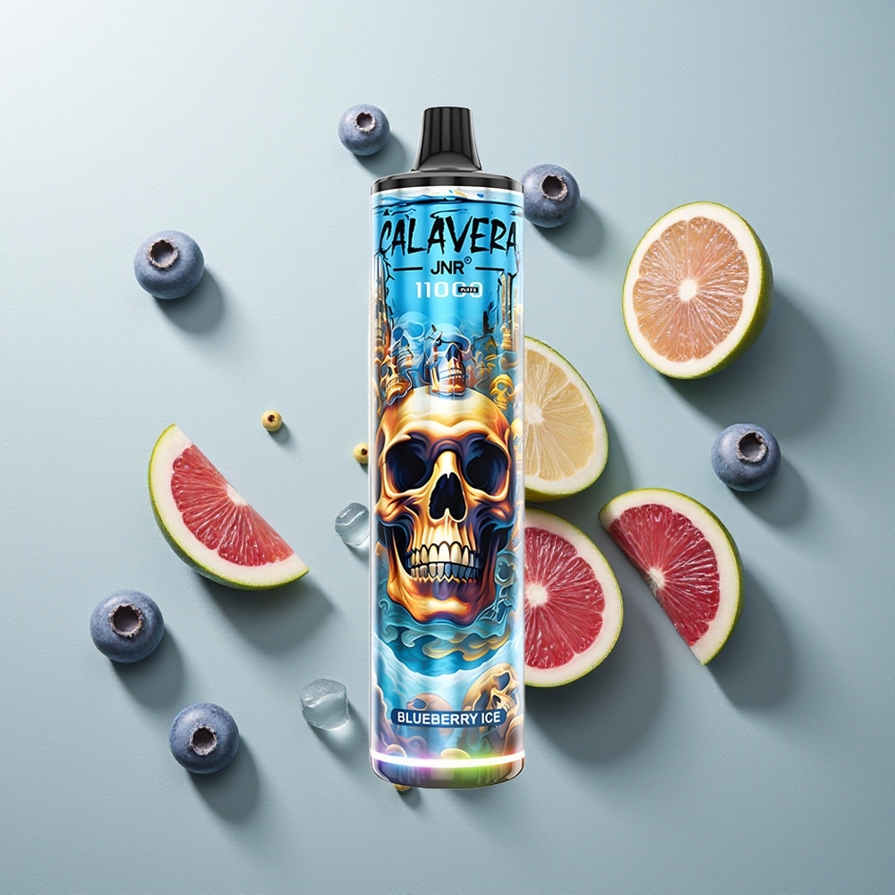 JNR Calavera 11000 تُوت أزرق جليدي بشاحن Type-C وملف شبكي 1.0 أوم