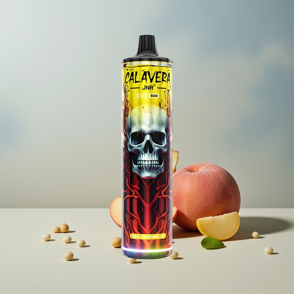 JNR Calavera 11000 خوخ مانجو بشاحن Type-C وملف شبكي 1.0 أوم