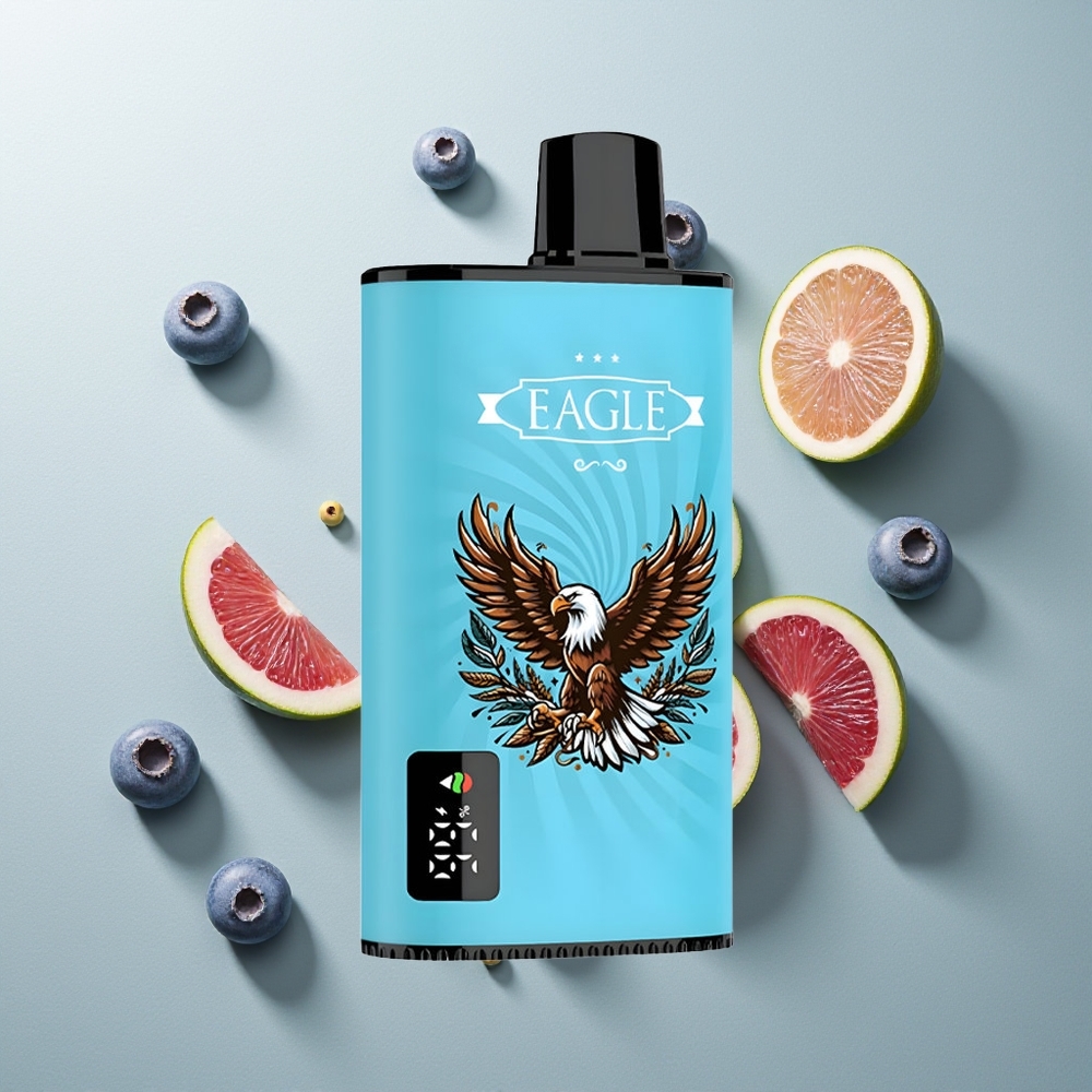 JNR EAGLE Smart 23000 توت أزرق جليدي مع شاشة رقمية وملف شبكي 1.0 أوم