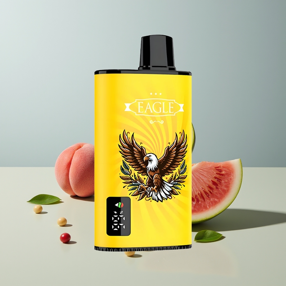 JNR EAGLE Smart 23000 خوخ مانجو بطيخ بشاشة رقمية وملف شبكي 1.0 أوم