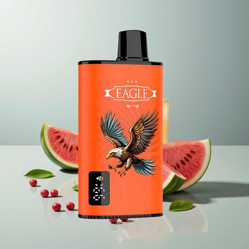 JNR EAGLE Smart 23000 بطيخ مثلج بشاشة رقمية وشاحن من النوع سي
