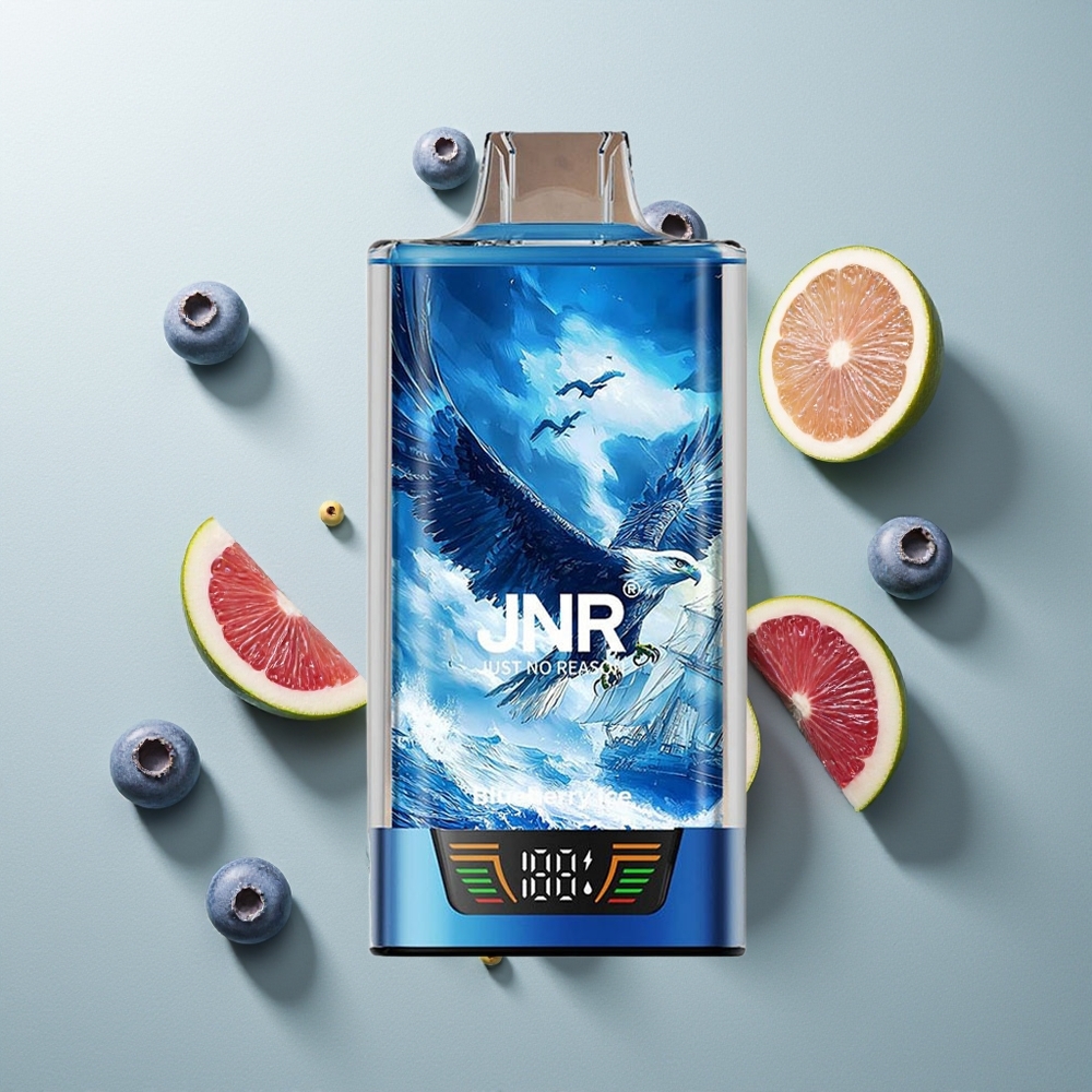 JNR Falcon Pro 28000 تُوت بَرّي مُثلّج بشاشة ذكية وشاحن USB Type-C