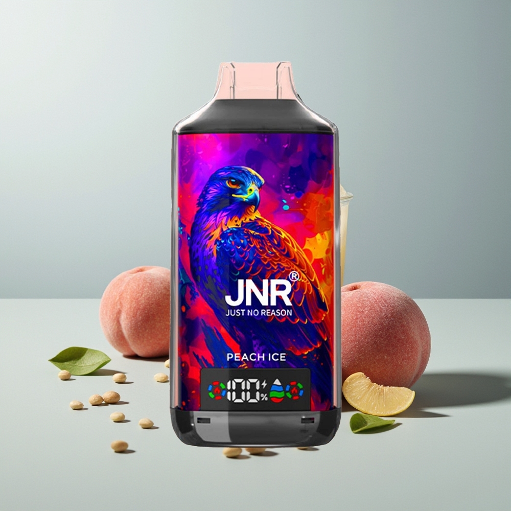 JNR Falcon X 18000 Peach Ice 24ml Dual Mesh Type-C