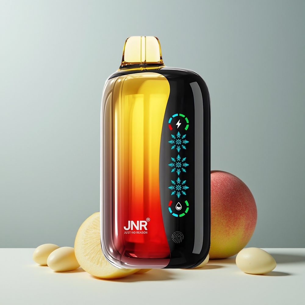 JNR Flex Ice 21000 خوخ مانجو أناناس مع شاشة تعمل باللمس وشحن نوع سي