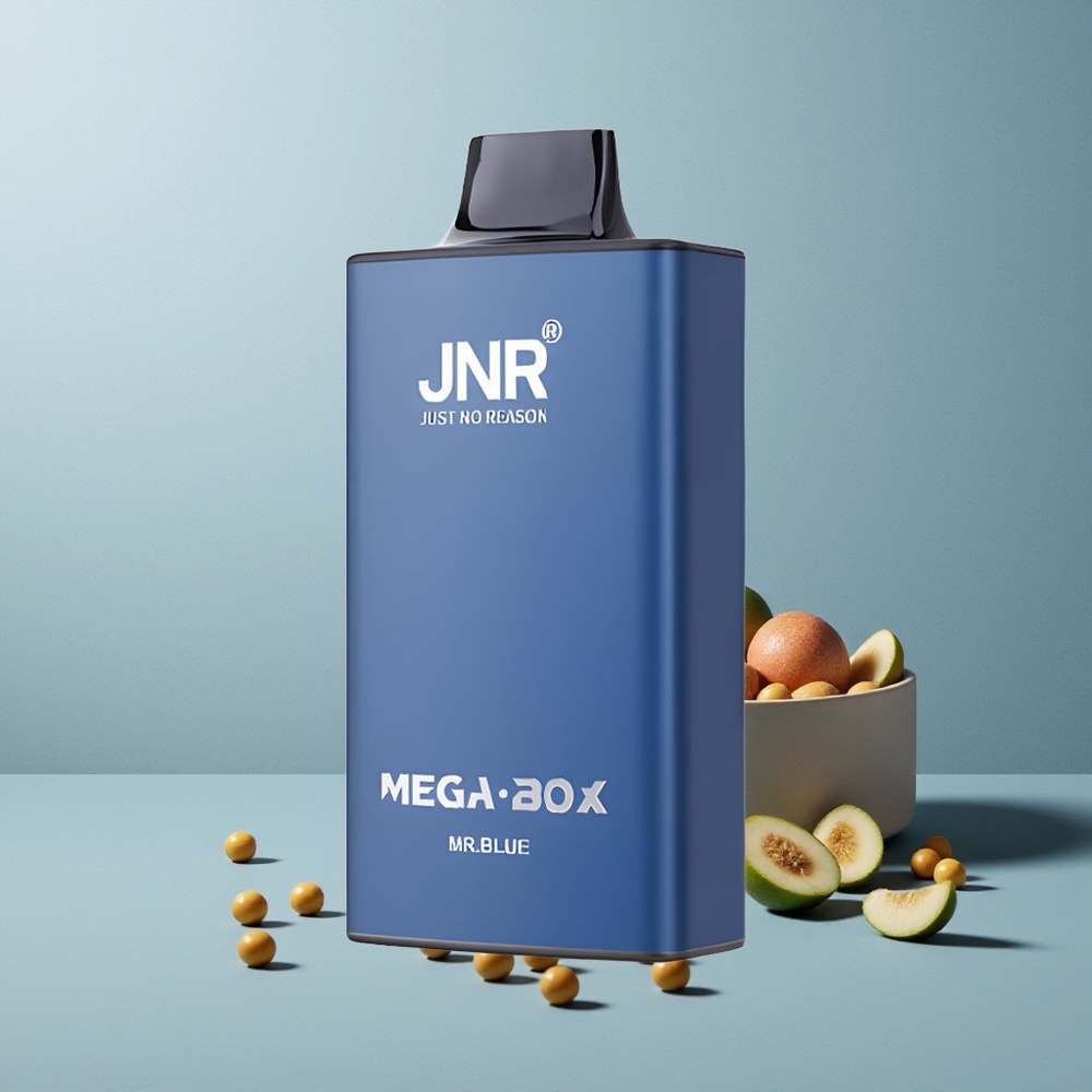 JNR Mega Box 25000 سيد أزرق - شحن سريع نوع سي ومللي 30 سعة سائل