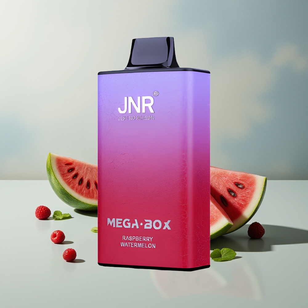 JNR Mega Box 25000 توت العليق البطيخ مع سعة 30 مل وشحن سريع نوع سي