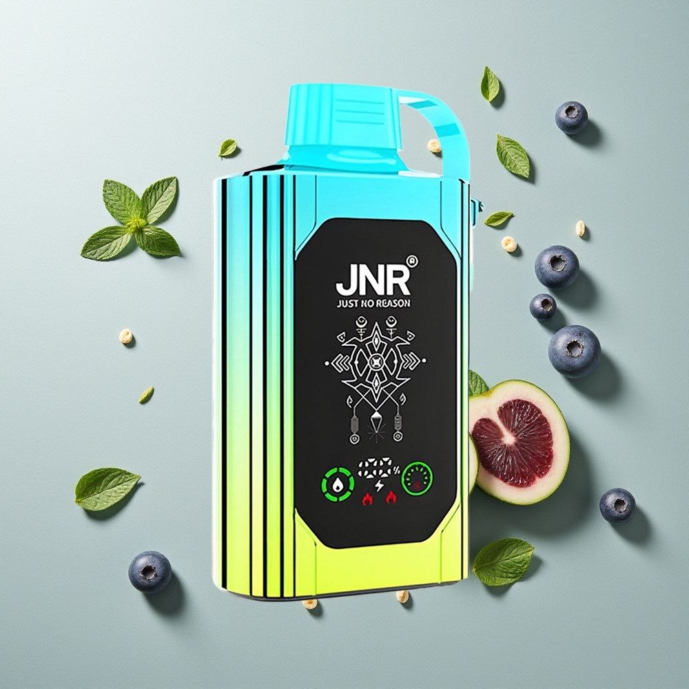 JNR Shisha Hookah Box 20500 النعناع البري مع شاشة عالية الدقة وشحنة سريعة من النوع سي